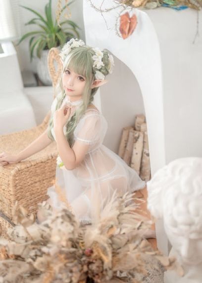 国产精品入口66mio女同