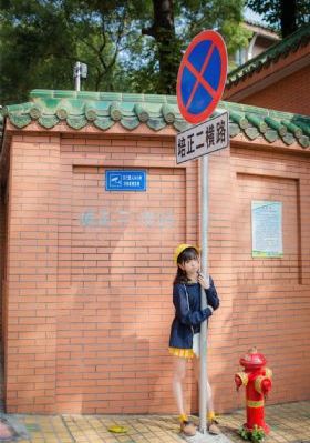 二十九电视剧免费观看全集