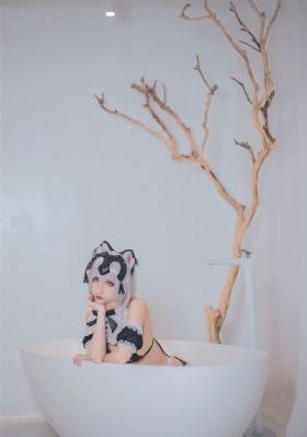 洛丽塔又名一树梨花压海棠